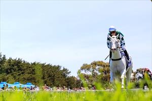 Utzon winning by 9 lengths @ Bairnsdale, Nov 2019